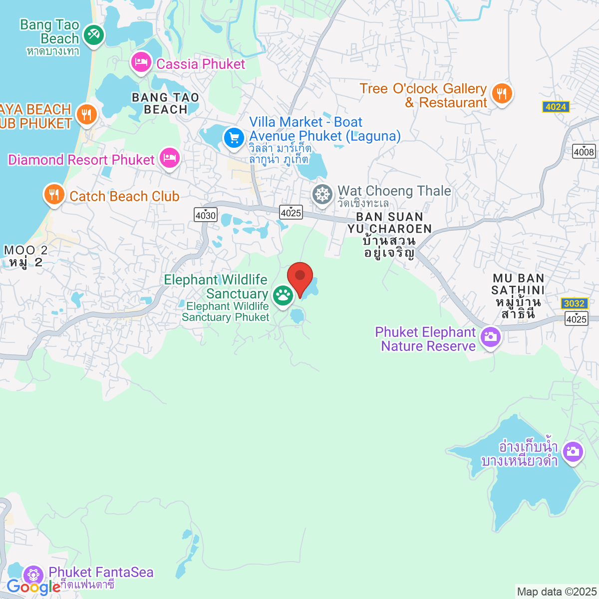 Map for 7.981328101,98.31032352