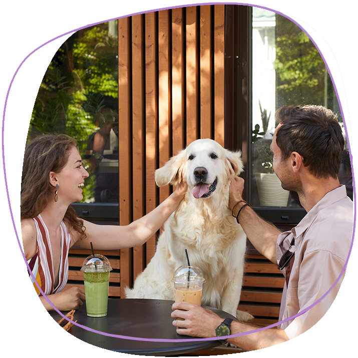 A Labrador With His Owners At A Pet Freindly Restaurant In Phuket