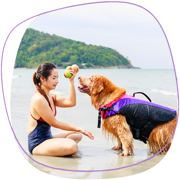Is Phuket Pet Friendly Young Woman At The Beach With His Golden Retriever