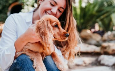 Is Phuket Pet-Friendly? All you need to know before starting your journey