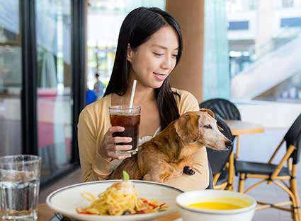 Pet Friendly Restaurant With Woman Eating With Her Dog