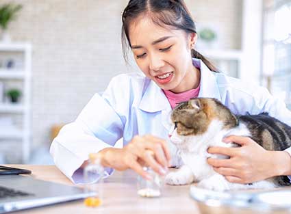 Veterinarian Doctor In Phuket Assisting A Cat