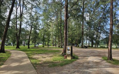 Walk in Nai Harn Park Pet-Friendly to Beachside Dining at Mama Seafood Phuket
