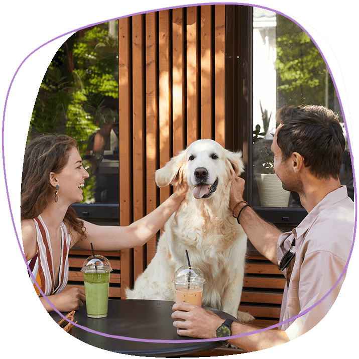 a-labrador-with-his-owners-at-a-pet-freindly-restaurant-in-phuket