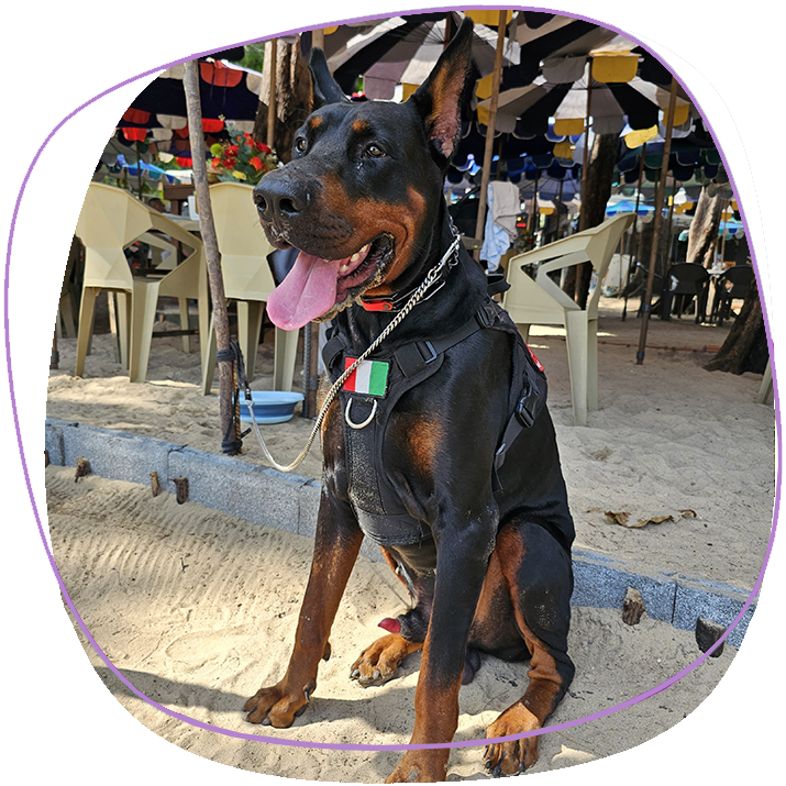 anubi-at-nai-harn-beach-under-the-umbrella