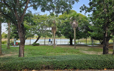A Pet-Friendly Afternoon at King Rama IX Park in Phuket Town